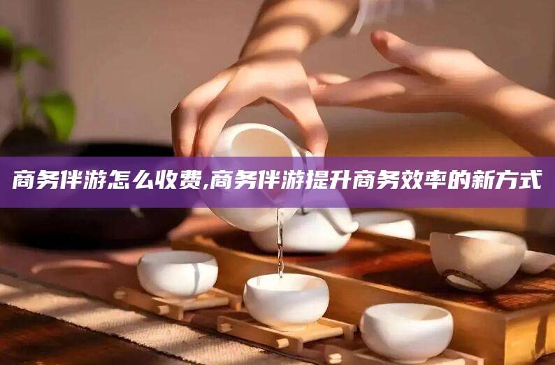 昭通商务伴游怎么收费,商务伴游提升商务效率的新方式