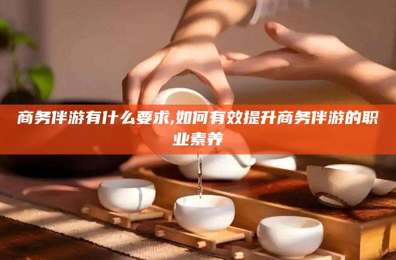 昭通商务伴游有什么要求,如何有效提升商务伴游的职业素养